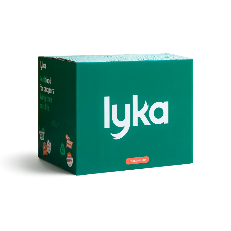 A box of Lyka