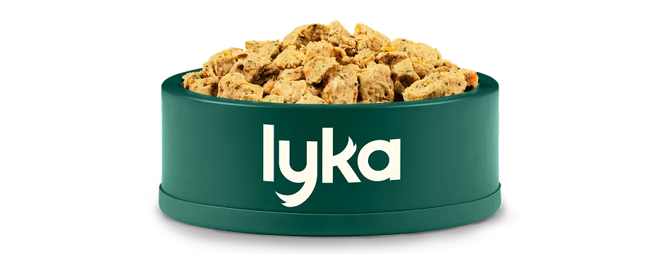 A delicious bowl of Lyka