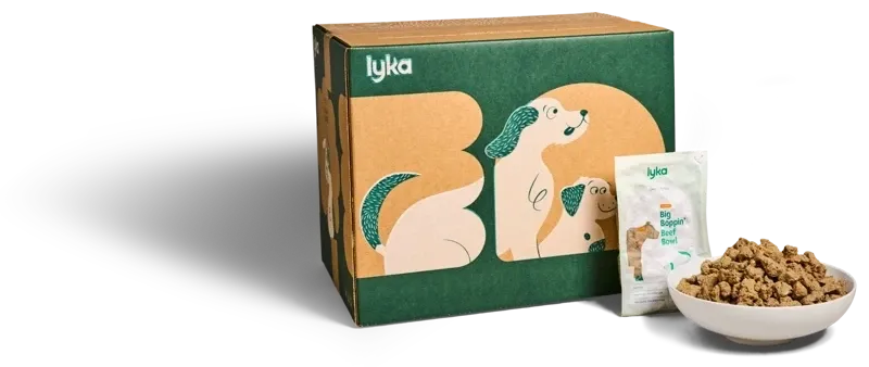 A box of Lyka