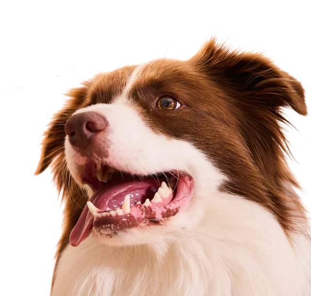 For overall wellbeing