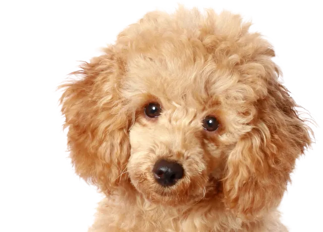 For overall wellbeing