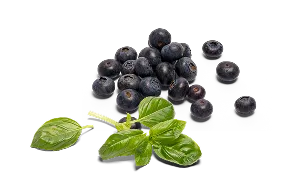 A picture of some of the Lyka ingredients including basil and blueberries