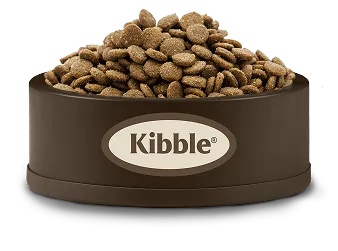 A bowl of kibble