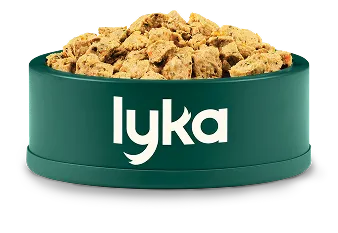 A bowl of Lyka