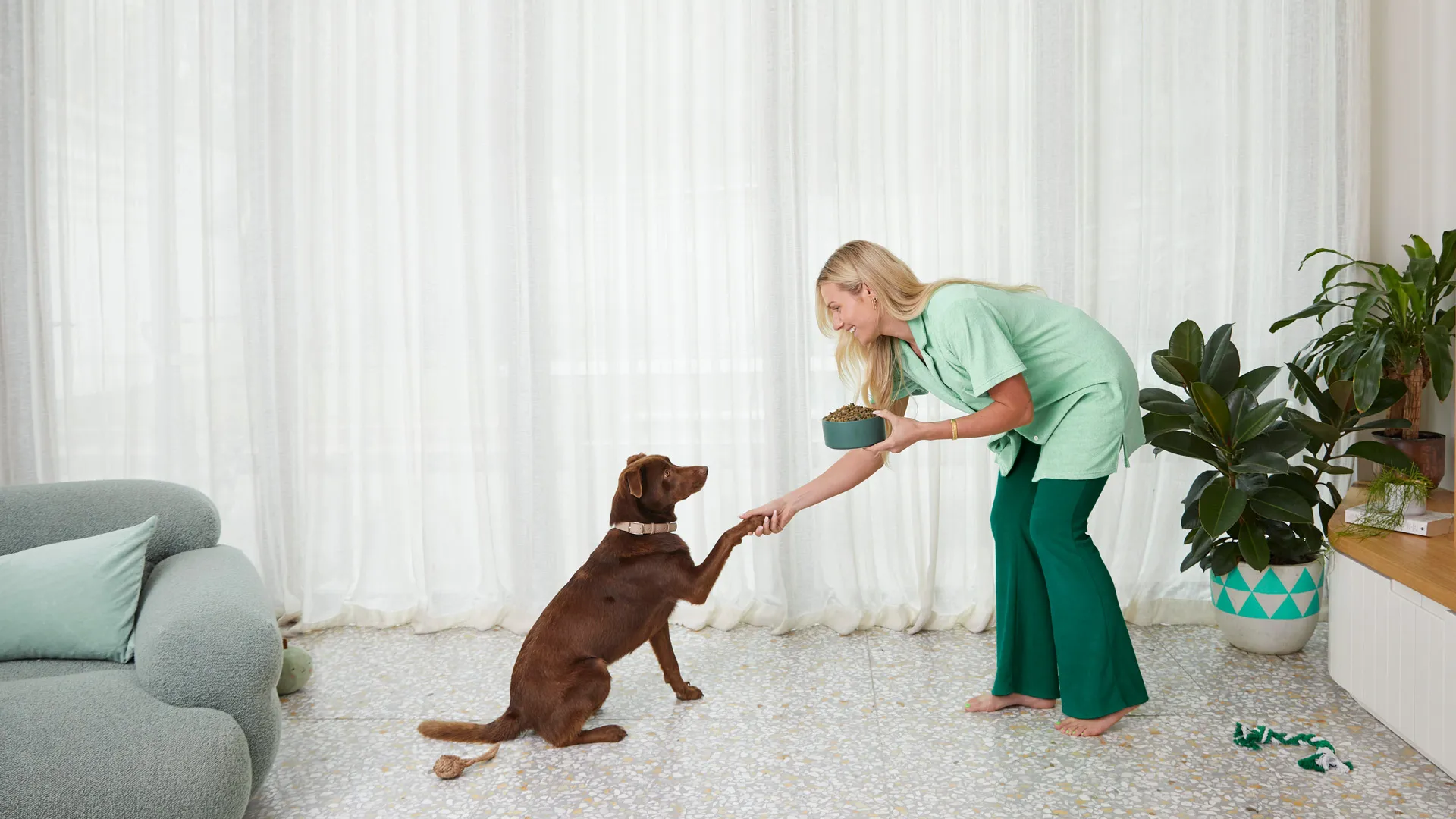 A person with Lyka bowl holding dogs paw