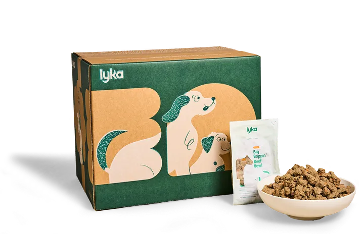 Lyka fresh food delivery box, pre-portioned pouch, and a fresh bowl of Lyka