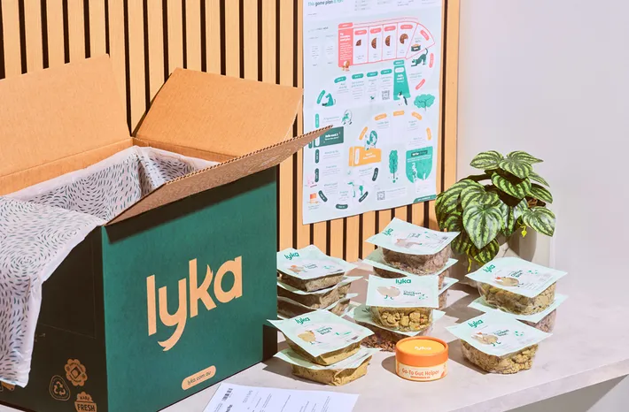 Lyka fresh food delivery box unpacked on a counter with pre-portioned meal pouches and a feeding guide