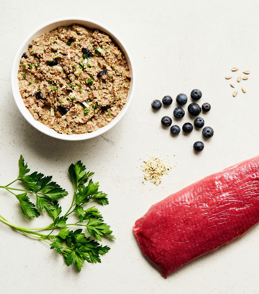 Fresh Dog Food Recipe Ingredients Fresh dog food recipe ingredients