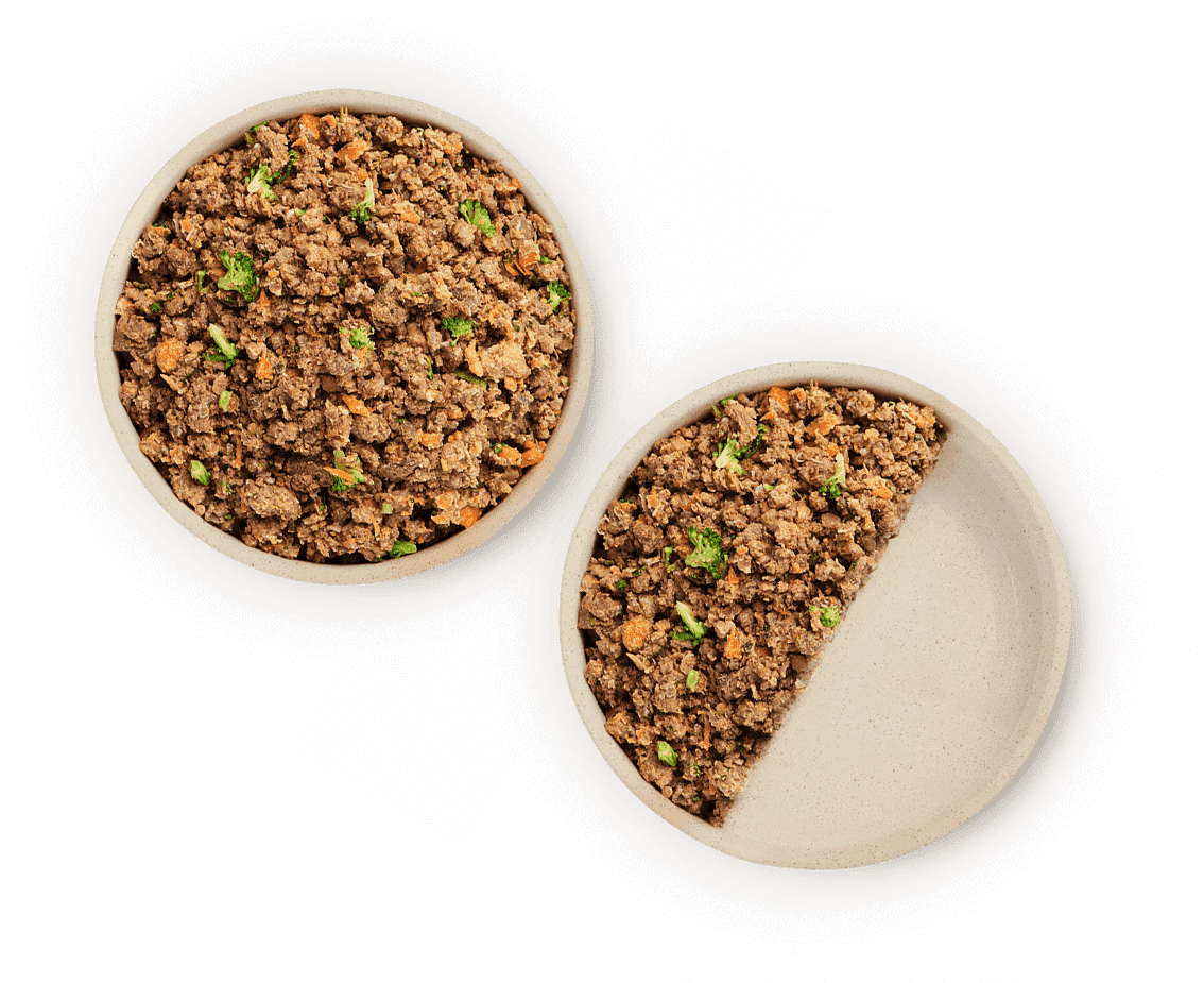 How Lyka Pet Food Works