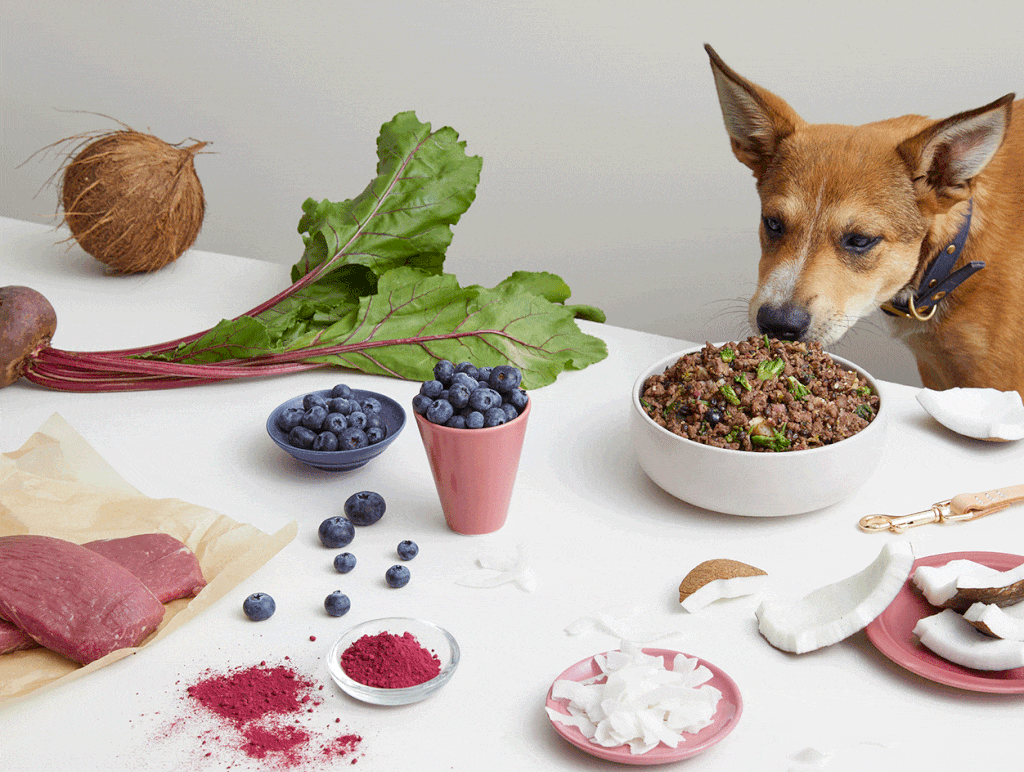 Lyka Pet Food Partnership • 60+Club