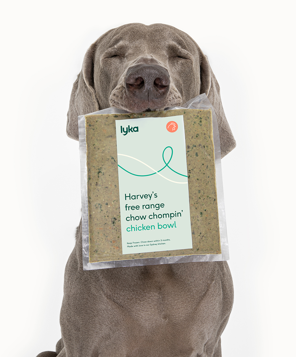How Lyka Pet Food Works