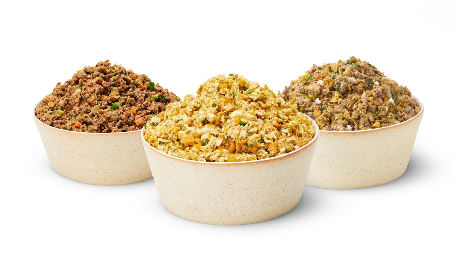 Three bowls of different Lyka meals