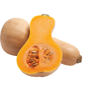 butternut_squash.png