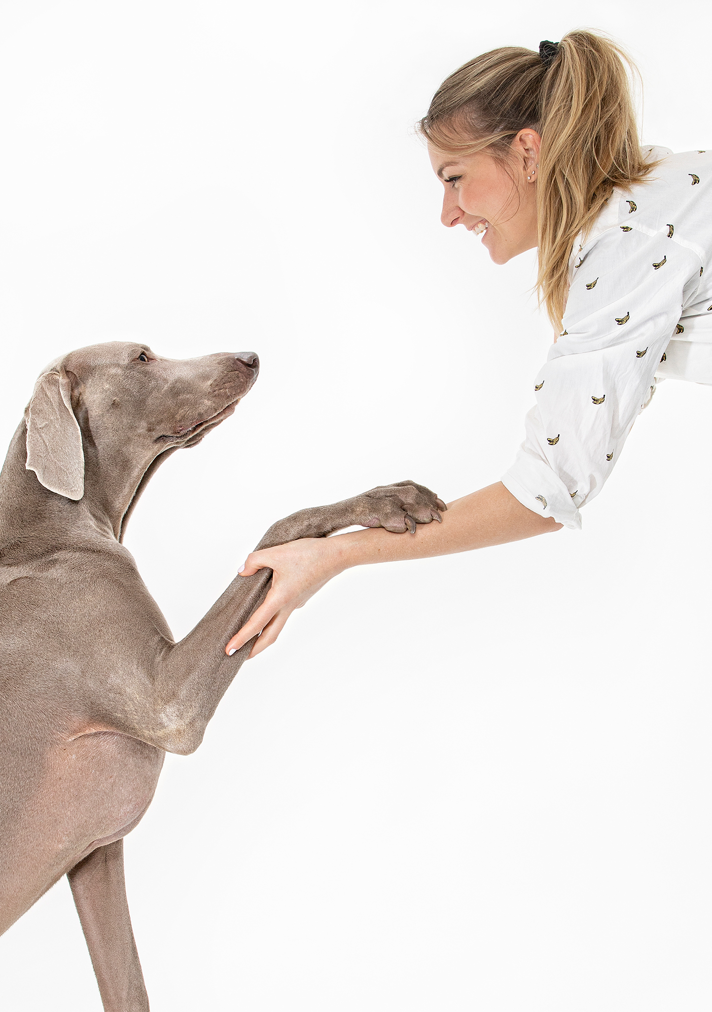 My Account Lyka Pet Food