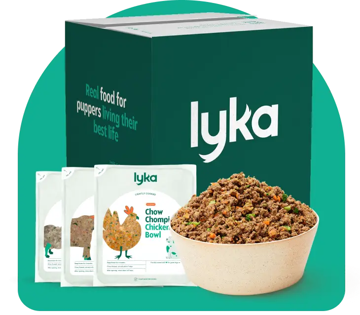 A picture our range of Lyka meals